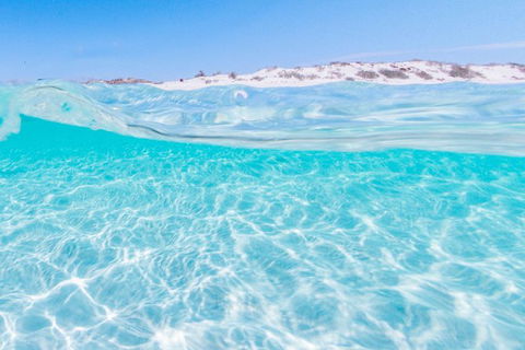 VIP Luxury Chartered Escapes, Exploring The Reef At Your Own Pace - Attractions 39