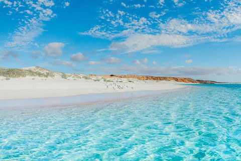 VIP Luxury Chartered Escapes, Exploring The Reef At Your Own Pace - Attractions 36