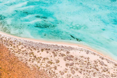 VIP Luxury Chartered Escapes, Exploring The Reef At Your Own Pace - Attractions 4