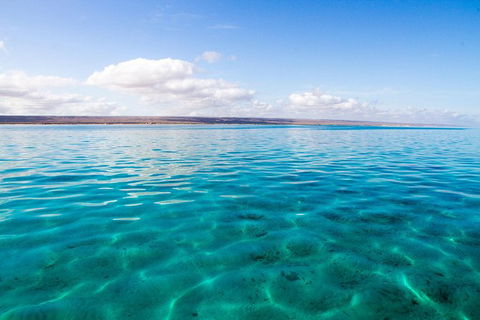 VIP Luxury Chartered Escapes, Exploring The Reef At Your Own Pace - Attractions 32