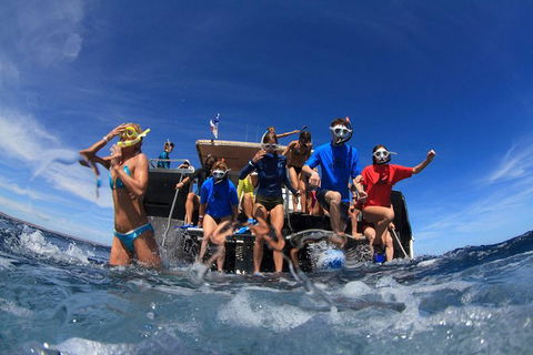 VIP Luxury Chartered Escapes, Exploring The Reef At Your Own Pace - Attractions 17