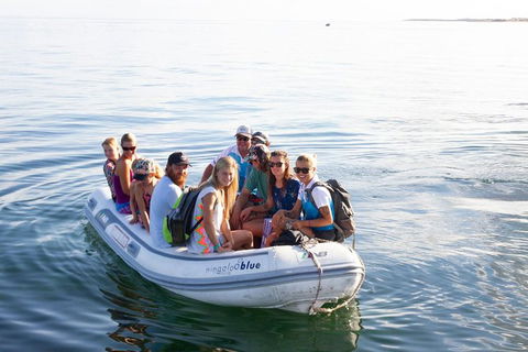 VIP Luxury Chartered Escapes, Exploring The Reef At Your Own Pace - Attractions 43