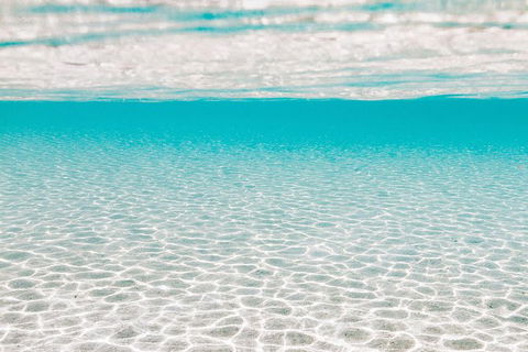 VIP Luxury Chartered Escapes, Exploring The Reef At Your Own Pace - Attractions 44