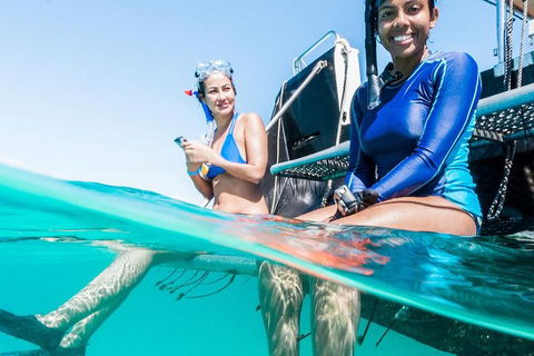 VIP Luxury Chartered Escapes, Exploring The Reef At Your Own Pace - Attractions 24