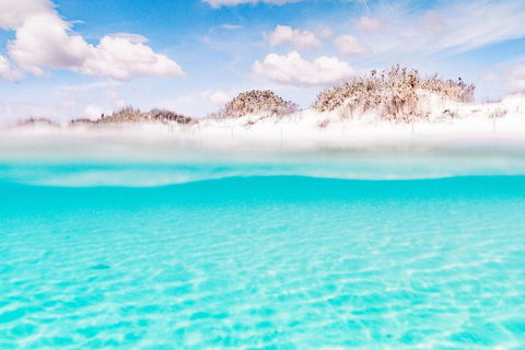 VIP Luxury Chartered Escapes, Exploring The Reef At Your Own Pace - Attractions 10