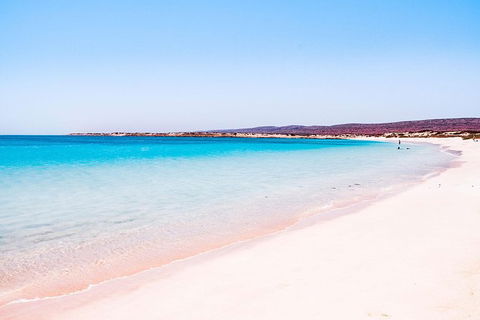 VIP Luxury Chartered Escapes, Exploring The Reef At Your Own Pace - Attractions 45