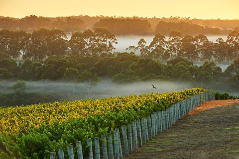 Cape Mentelle Behind The Scenes Tour With Food & Wine Pairing - Attractions 3
