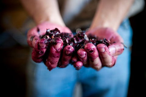 Cape Mentelle Behind The Scenes Tour With Food & Wine Pairing - Attractions 7