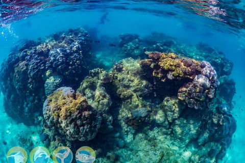 Turtle And Reef Adventure - Attractions 1