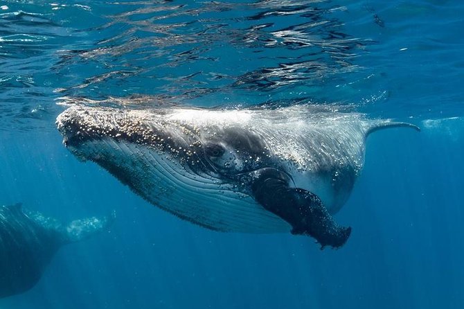 Exmouth WA Attractions