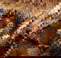 Jewel Cave Fully-guided Tour - Attractions