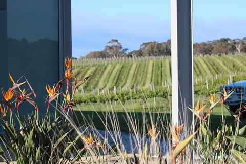 Margaret River Wine And Sights Discovery Tour From Busselton Or Dunsborough - Attractions 3