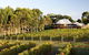Margaret River And Geographe Bay Region Day Trip From Perth - thumb 2