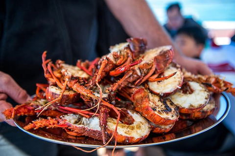 Mandurah Wild Seafood Adventure Cruise - Attractions 1