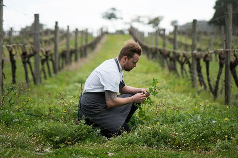 Vasse Felix Epicurean Tour And Tasting Experience With 5 Course Lunch - Attractions Las Vegas 9