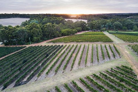 Vasse Felix Epicurean Tour And Tasting Experience With 5 Course Lunch - Attractions Las Vegas 7