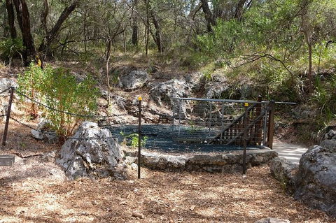 Ngilgi Cave Semi-guided Tour - Attractions 7