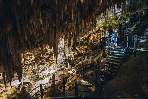 Ngilgi Cave Semi-guided Tour - Attractions 2