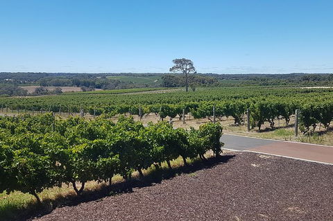 Full Day Winery And Brewery Tour In A Classic Silver Spirit Rolls Royce - Attractions 5