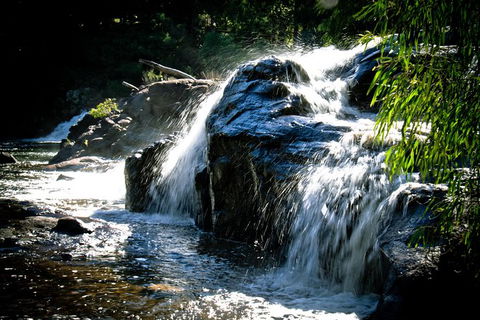 Margaret River Wine Adventure - The Tour For People Who Don\'t Do Tours! - Attractions 17