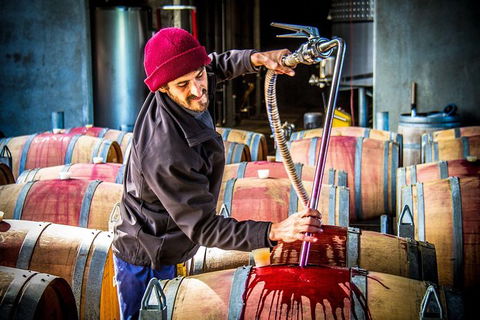 Margaret River Wine Adventure - The Tour For People Who Don\'t Do Tours! - Attractions 20