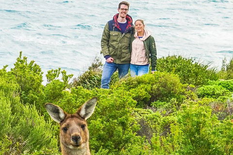 Margaret River Wine Adventure - The Tour For People Who Don\'t Do Tours! - Attractions 3