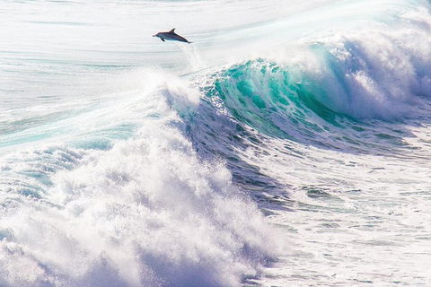 Margaret River Wine Adventure - The Tour For People Who Don\'t Do Tours! - Attractions 29