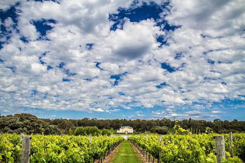 Margaret River Wine Adventure - The Tour For People Who Don\'t Do Tours! - Attractions 14