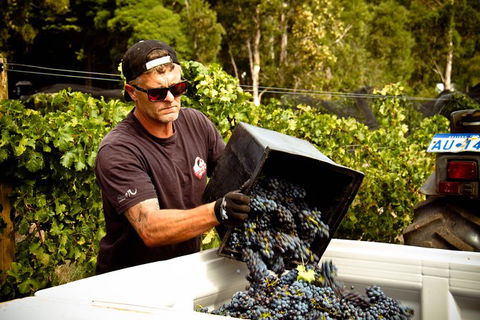 Margaret River Wine Adventure - The Tour For People Who Don\'t Do Tours! - Attractions 26