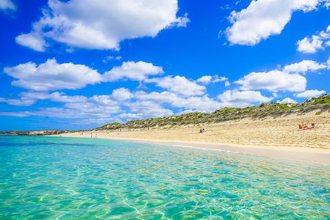 Margaret River Wine Adventure - The Tour For People Who Don\'t Do Tours! - Attractions 24