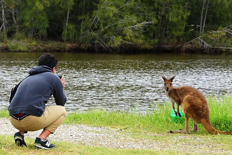 Reflections On The Swan (Private) Day Tour - Attractions 15