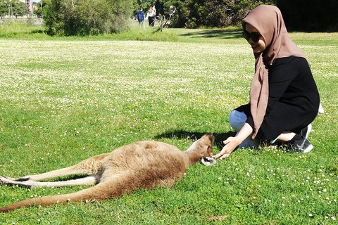 Reflections On The Swan (Private) Day Tour - Attractions 14