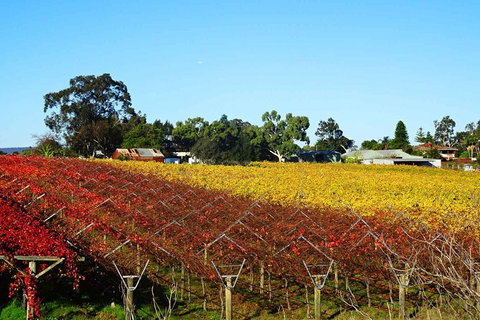 Reflections On The Swan (Private) Day Tour - Attractions 8