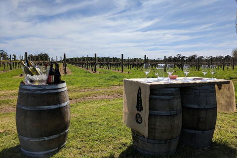 Margaret River Small-Group Full-Day Wine & Food Tour - Attractions 4