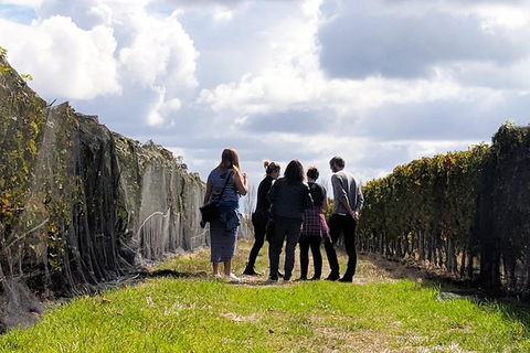 Margaret River Small-Group Full-Day Wine & Food Tour - Attractions 5