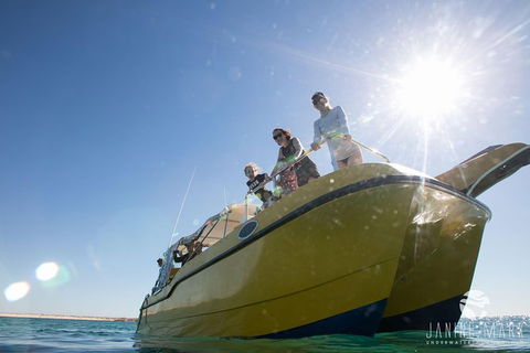 Turtle Tours On The Ningaloo Reef, Exmouth. 1/2 Day Cruise. - Attractions 7