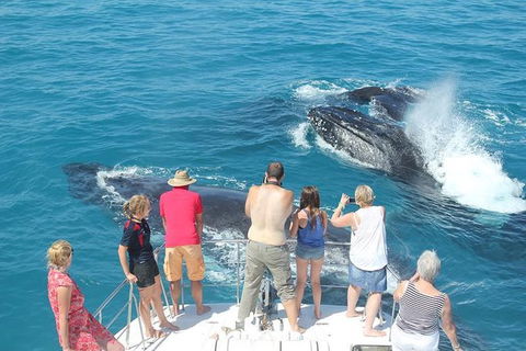 Half-Day Whale Watching Sunset Cruise From Broome - Attractions 1