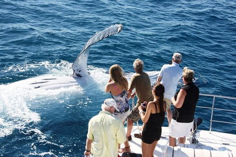 Half-Day Whale Watching Sunset Cruise From Broome - Attractions 2