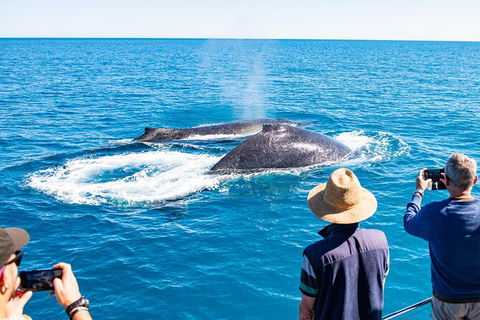 Half-Day Whale Watching Sunset Cruise From Broome - Attractions 7