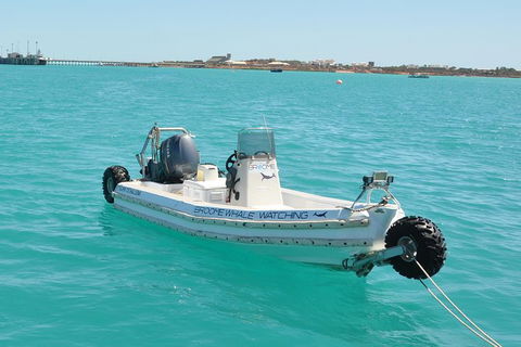 Half-Day Whale Watching Sunset Cruise From Broome - Attractions 4