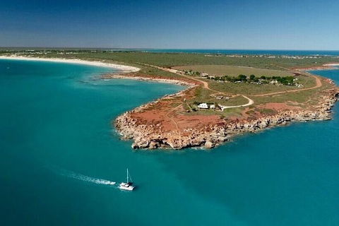 Half-Day Whale Watching Sunset Cruise From Broome - Attractions 10