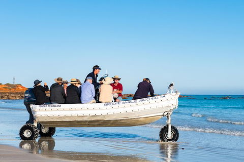 Half-Day Whale Watching Sunset Cruise From Broome - Attractions 11
