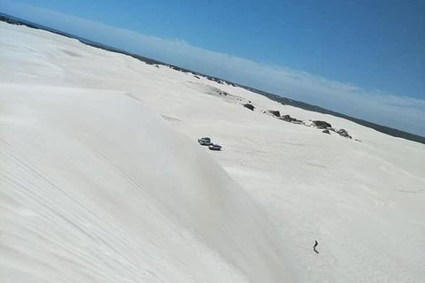 Yanchep & Lancelin - Wildlife, Cave And Sands - Attractions 3