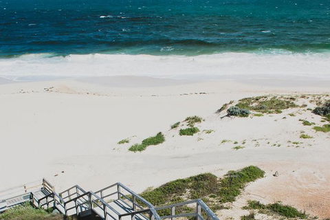 Yanchep & Lancelin - Wildlife, Cave And Sands - Attractions 4