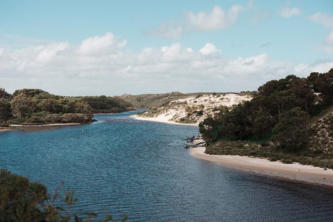 Yanchep & Lancelin - Wildlife, Cave And Sands - Attractions 6