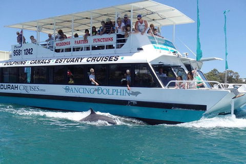 Mandurah Dolphin And Scenic Marine Cruise - Attractions 1