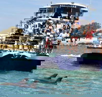 Mandurah Dolphin and Scenic Marine Cruise - Attractions