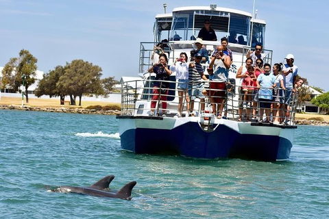 Mandurah Dolphin And Scenic Marine Cruise - Attractions 0