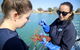 Mandurah Dolphin And Scenic Marine Cruise - thumb 8