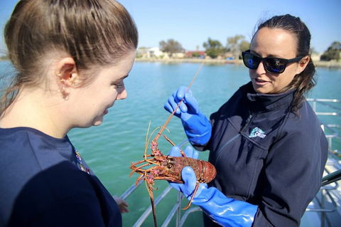 Mandurah Dolphin And Scenic Marine Cruise - Attractions 8
